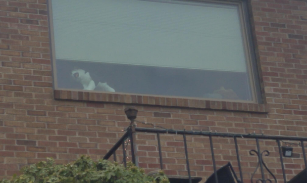 scavenger hunt, teddy bear...
