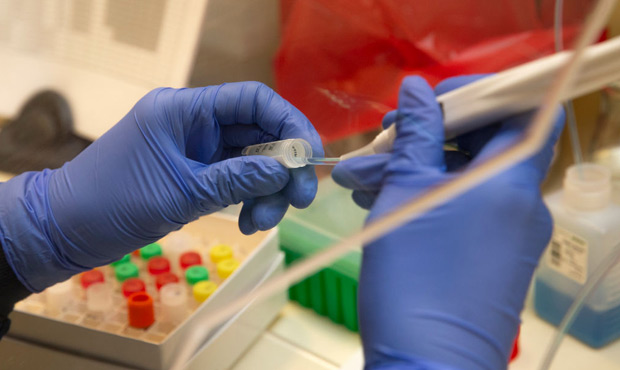 A medical laboratory scientist runs a clinical test in the Immunology lab at UW Medicine looking fo...