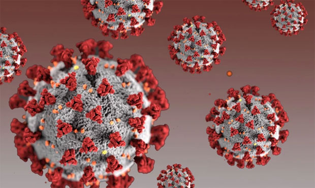 Coronavirus, COVID-19 parties...