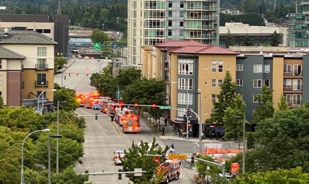 stabbed Bellevue...