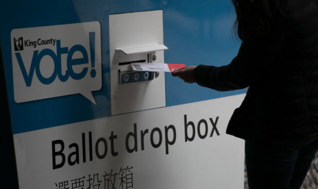 vote, ballot, vaska...
