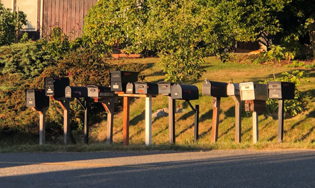Election results 2020, mailboxes...