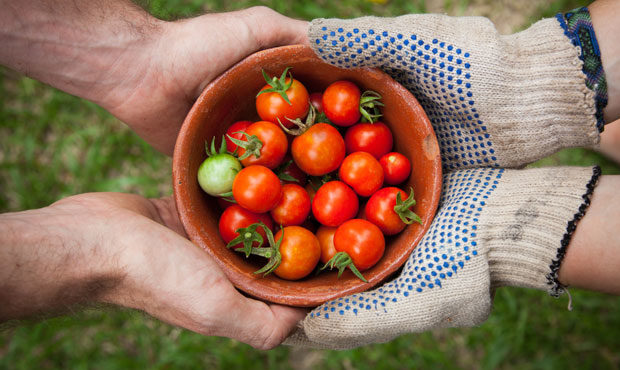farms, Plant Based Food Share...