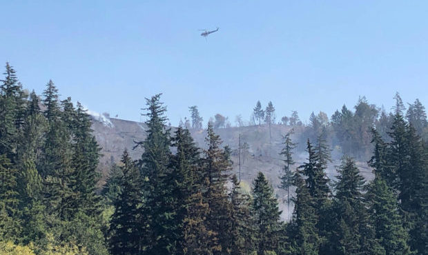 wildfires, Sue Kuehl Pederson...