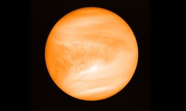 venus...