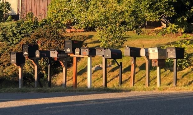 mail, ballots, Sammamish...