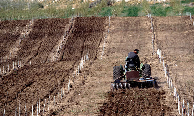 Washington farm, fines...