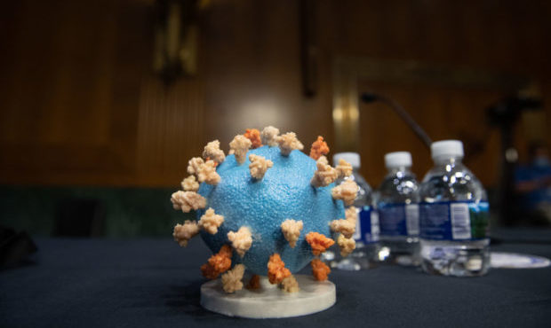 covid virus, brain...