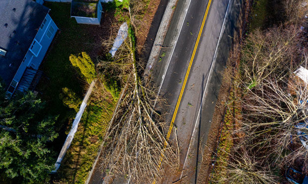Puget Sound power outages...