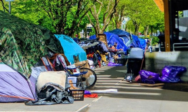 king county homeless, homeless...