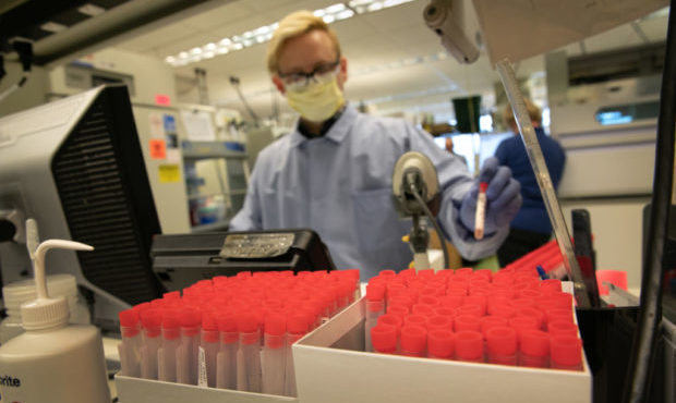 variants, uw virology...