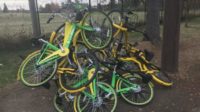 seattle bicycle, bikes, cyclists, lime bike