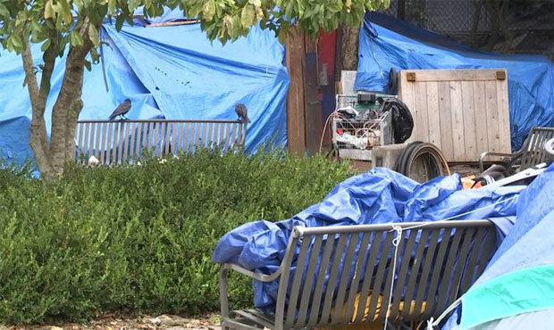 compassion seattle, seattle homeless...
