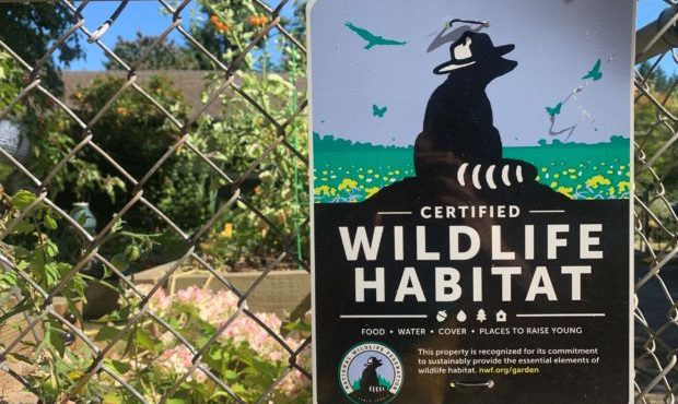 certified wildlife habitat...