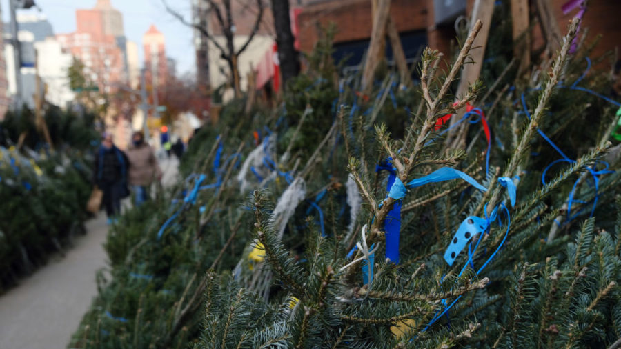 holiday recycling...