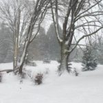 Seattle snow-Queen Anne