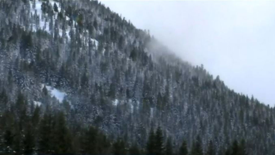 Crystal Mountain avalanche...