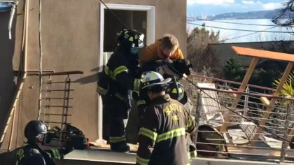 Dog rescued after being trapped for days inside Seattle house that slid off foundations