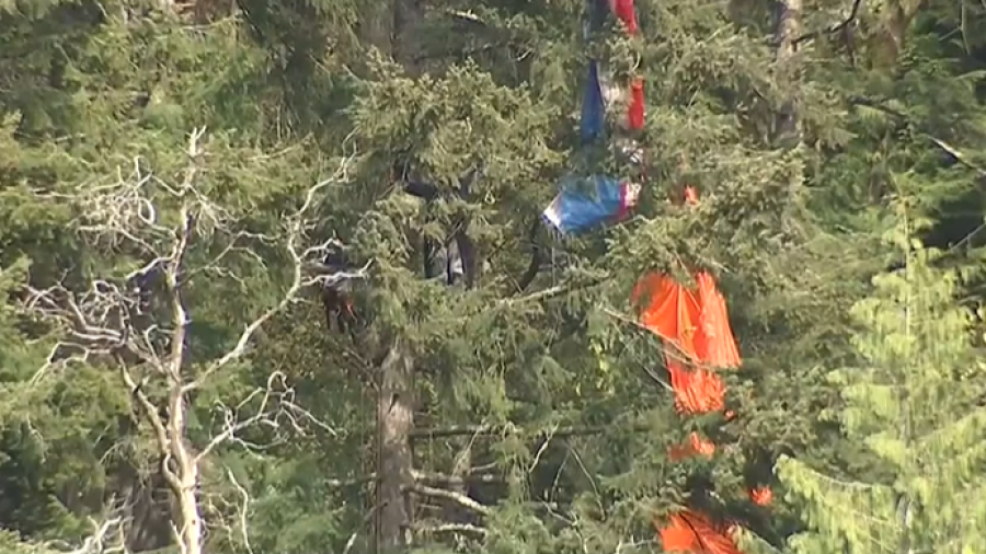 (KIRO 7 TV)...