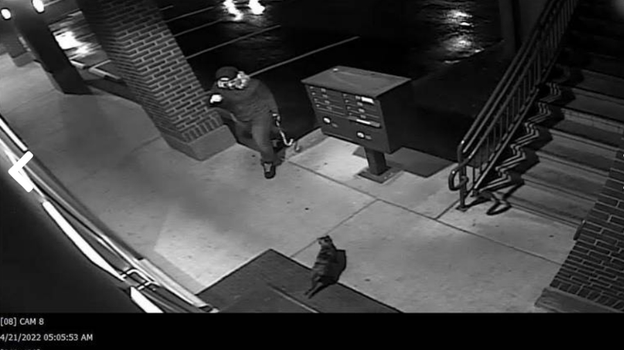(KIRO 7 News)...