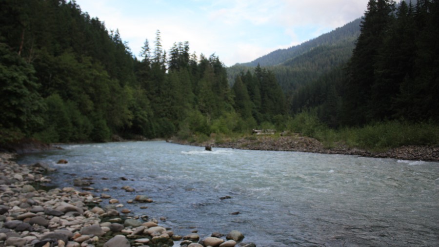nooksack...
