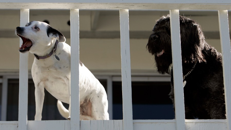 (Photo by Stephen Osman/Los Angeles Times via Getty Images)...