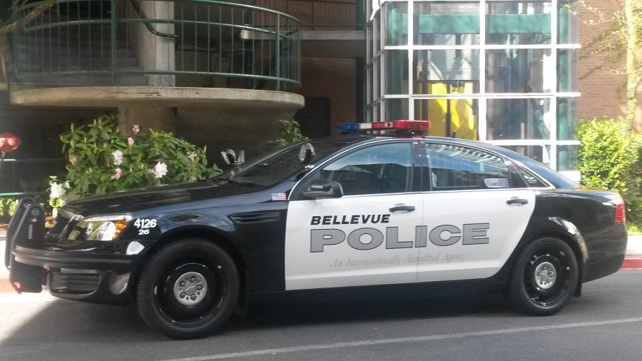 Chinese national pleaded guilty to assaulting Bellevue man