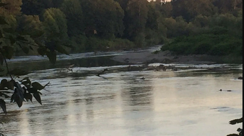 Photo from KIRO 7...