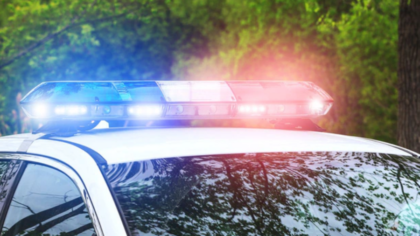 Woman sustains significant injuries in bear attack near Leavenworth