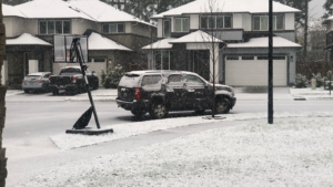 Seattle snow