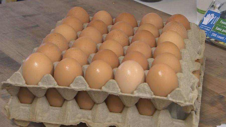 Egg...