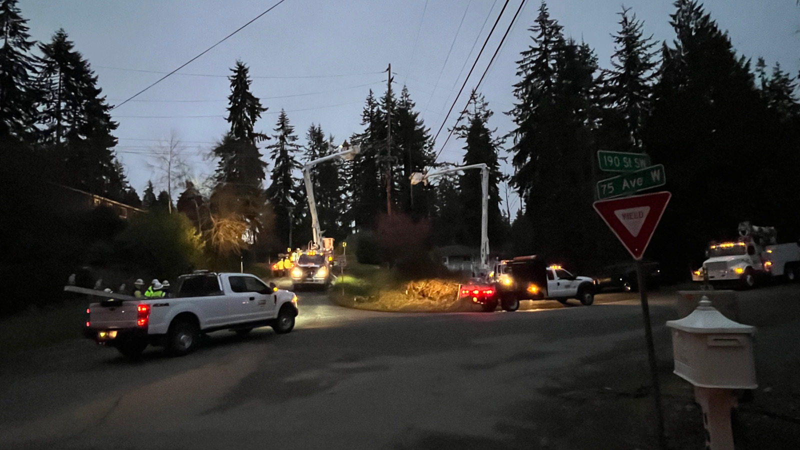 Lynnwood wind damage...