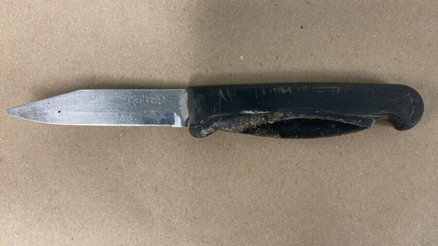 seattle stabber magnolia...
