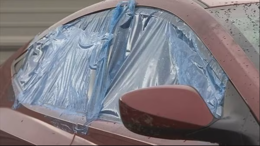 (Photo from KIRO 7)...