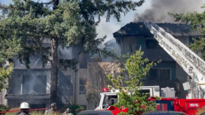 Dozens displaced after 3-alarm fire at Bellevue apartment complex ...
