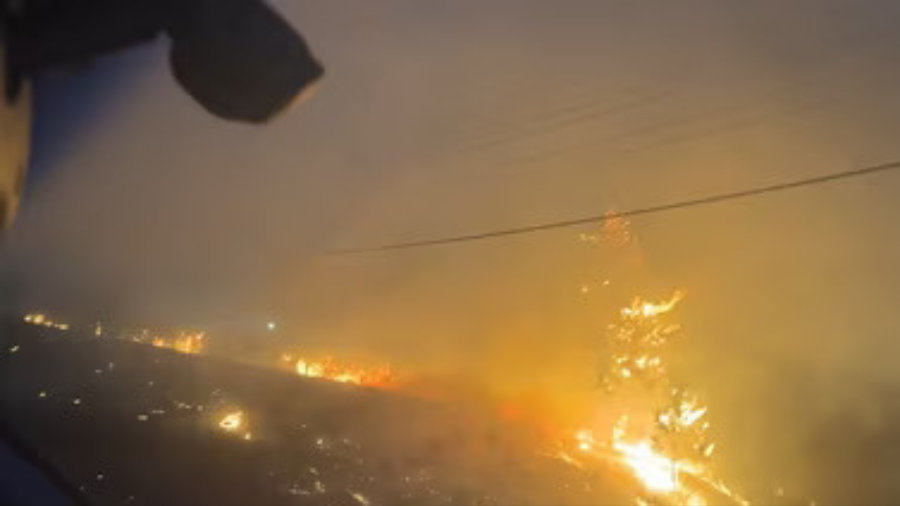 tacoma brush fire...
