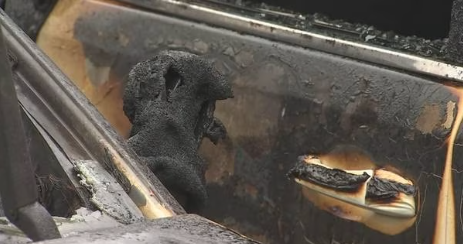 (Photo from KIRO 7)...