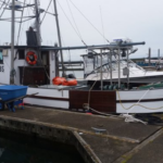 Image: A photo of the fishing boat "Evening" before it departed Grays Harbor.