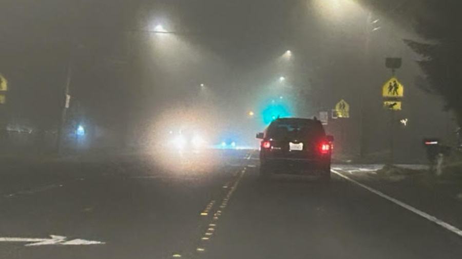 Fog Edmonds...