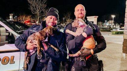 Tukwila police looking for missing dogs' owners after recovering stolen SUV
