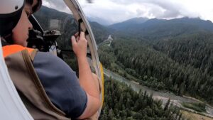 Photo: Several agencies and local tribes translocated 325 mountain goats to increase the animals' population in northern Washington and to remove the non-native animals from the Peninsula that were destroying endemic plants.