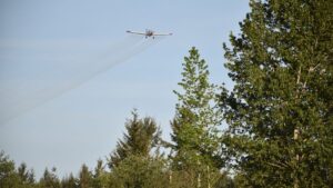 Photo: The WSDA spraying bacteria to eradicate the spongy moths in Lacey, Washington in 2016.