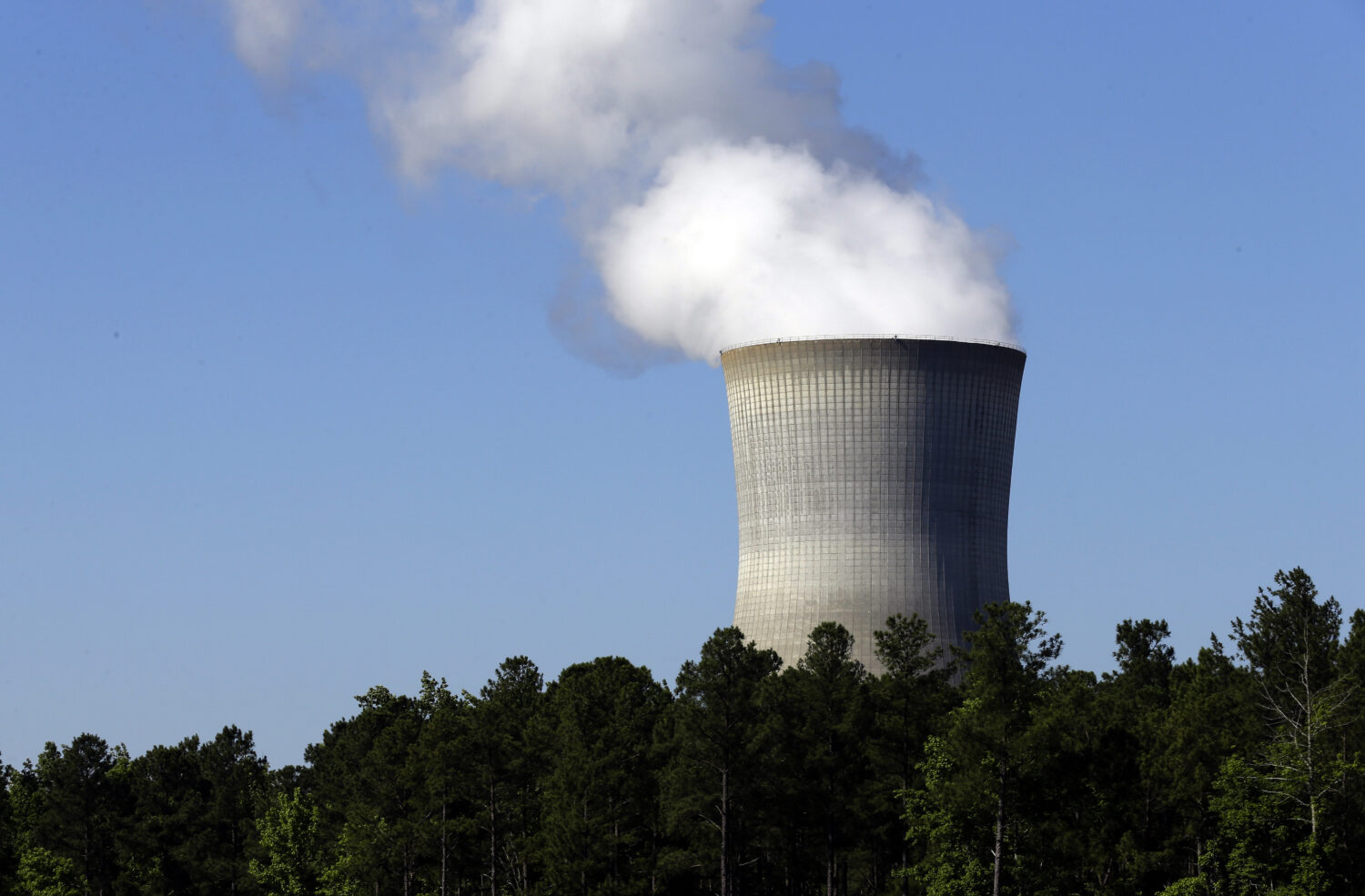 FILE - The Shearon Harris nuclear plant is seen in Holly Springs, N.C., on June 14, 2013. (AP Photo...