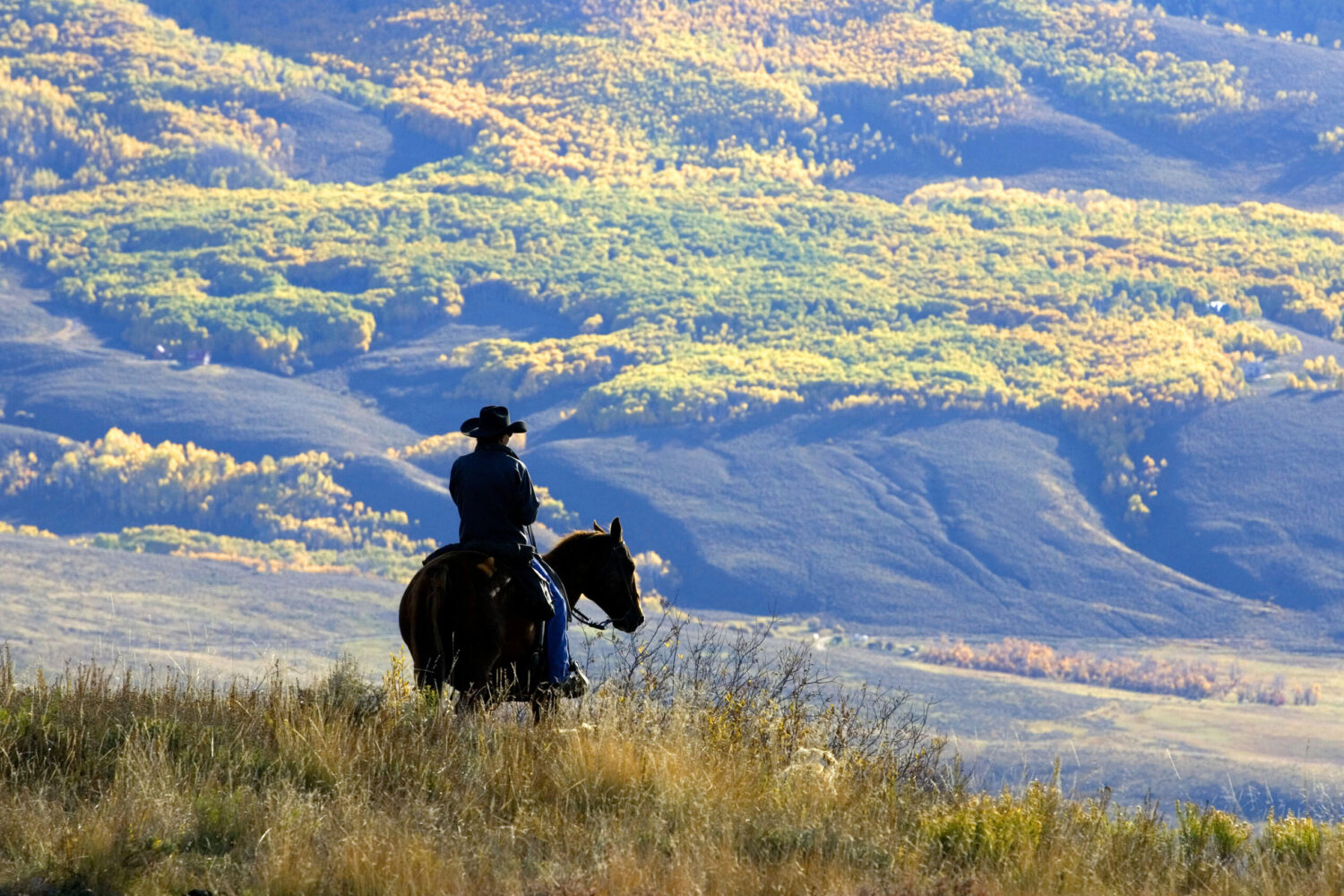 FILE - Wrangler Doug Washburn, of Crested Butte, Colo. overlooks aspen trees with their autumn colo...