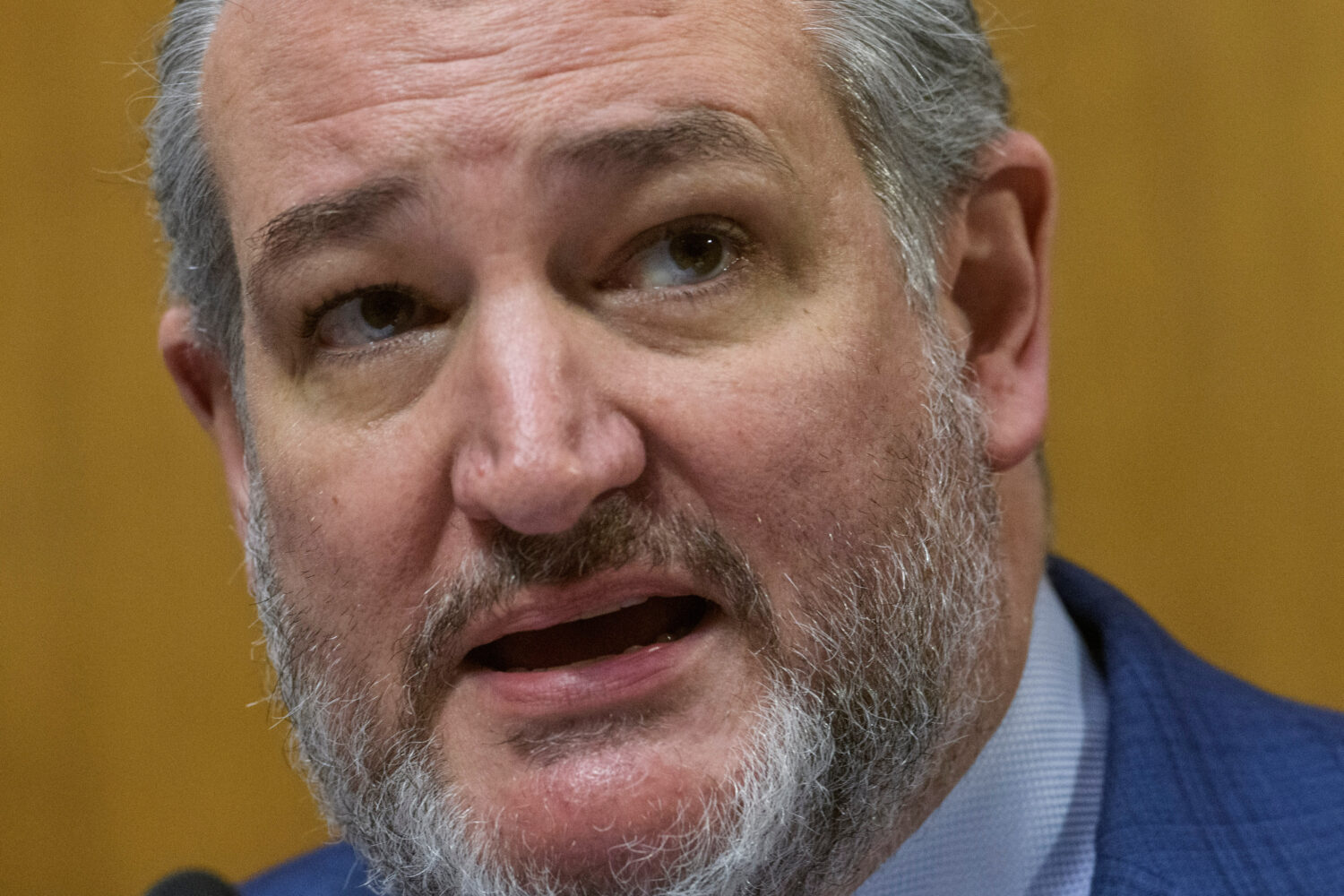 Subcommittee Chairman Sen. Ted Cruz, R-Texas, gives his opening remarks during a Senate Committee o...