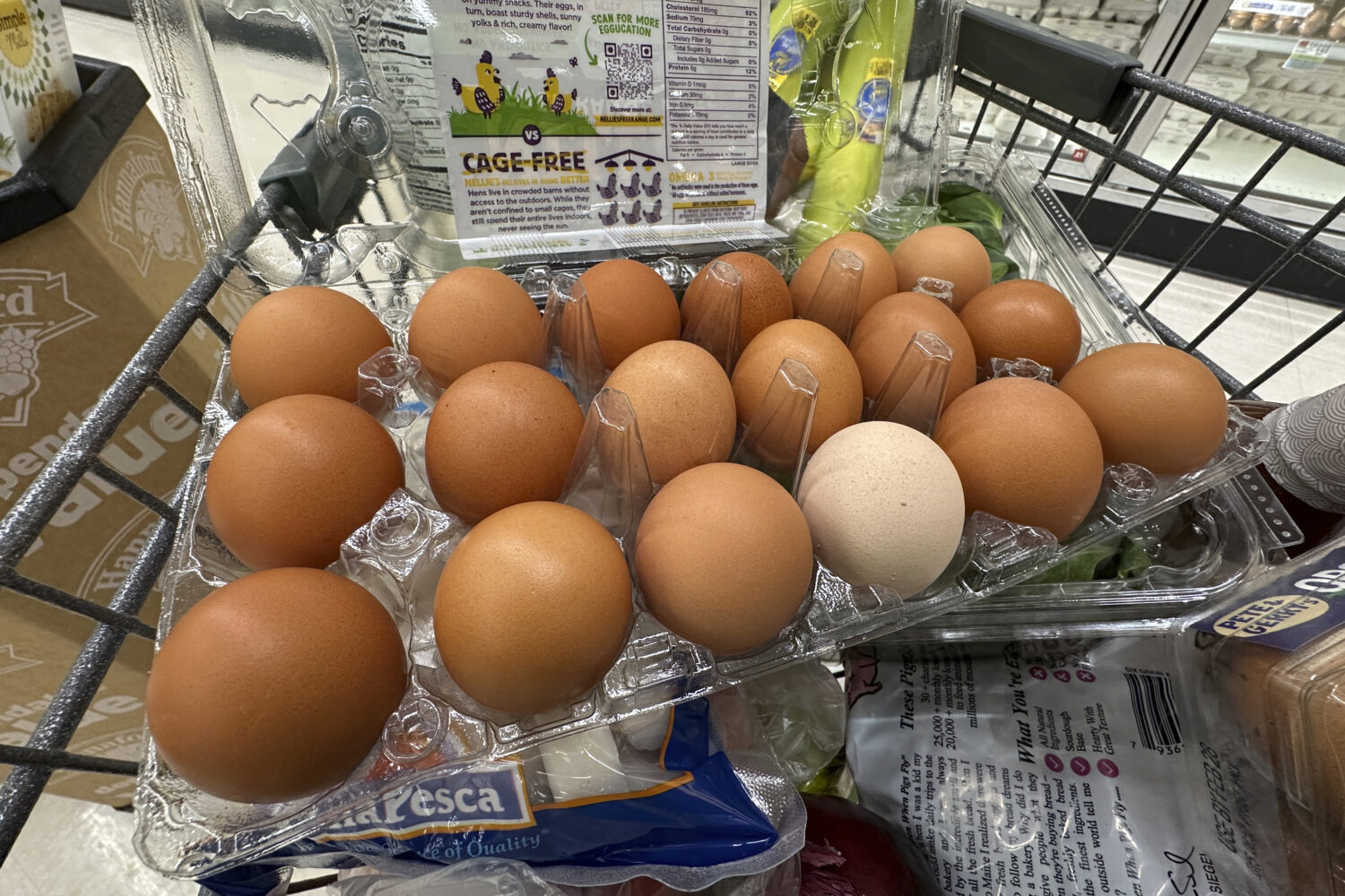 FILE - Eggs sit in a container in a shopping cart at grocery store, Monday, Jan. 27, 2025, in Windh...