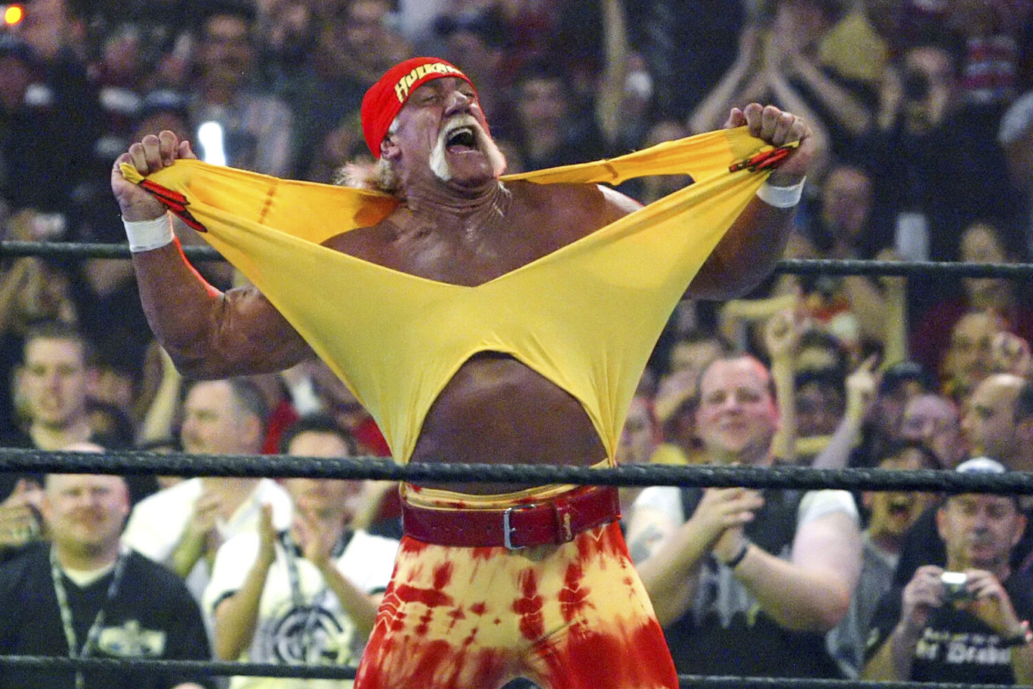FILE - in this April 3, 2005, file photo, Hulk Hogan fires up the crowd between matches during Wres...