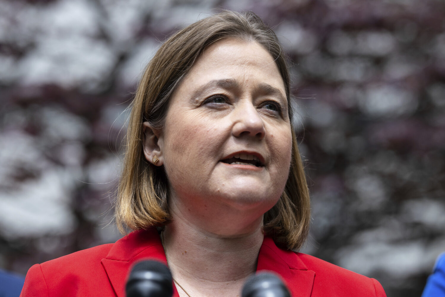 FILE - Iowa Attorney General Brenna Bird speaks at a press conference, May 13, 2024, in New York. (...