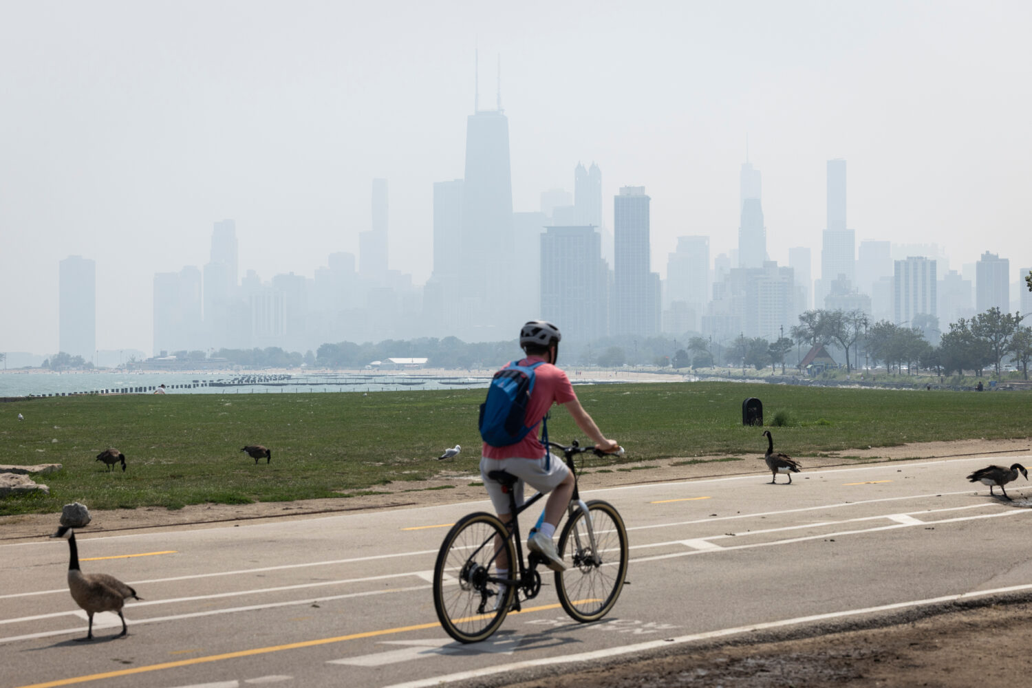 People sun tan on the Lakefront Trail on the North Side as a haze of Canadian wildfire smoke blanke...