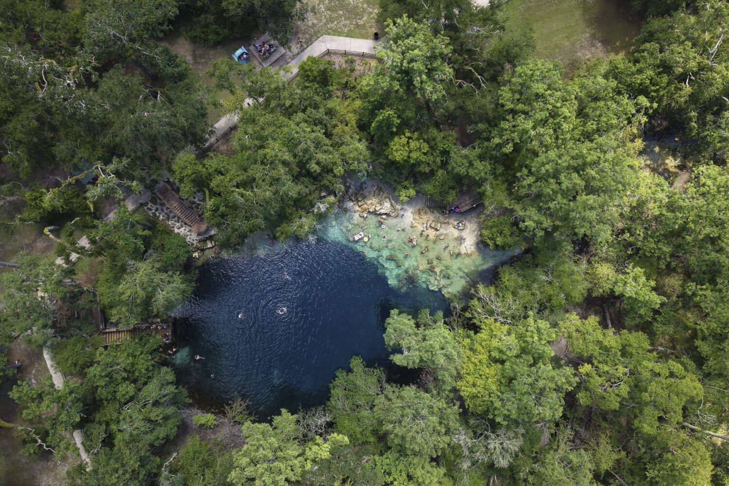 Visitors swim at Royal Spring, Tuesday, July 15, 2025, in Suwannee County, Fla. (AP Photo/Daniel Ko...